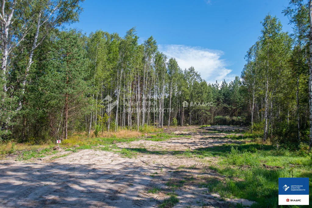 Продажа участка, Ушмор, Клепиковский район - Фото 4
