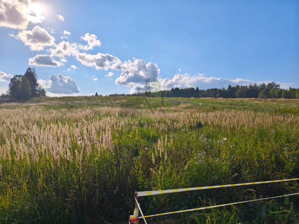 Продажа участка, Дмитров, Дмитровский район, Медведково д. - Фото 17