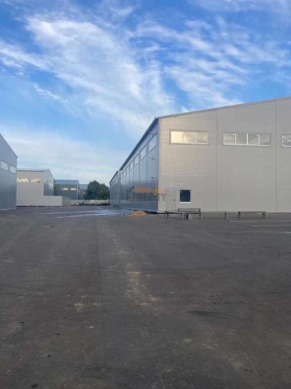 Аренда склада, Нововоронино, Пушкинский район, 50 - Фото 7