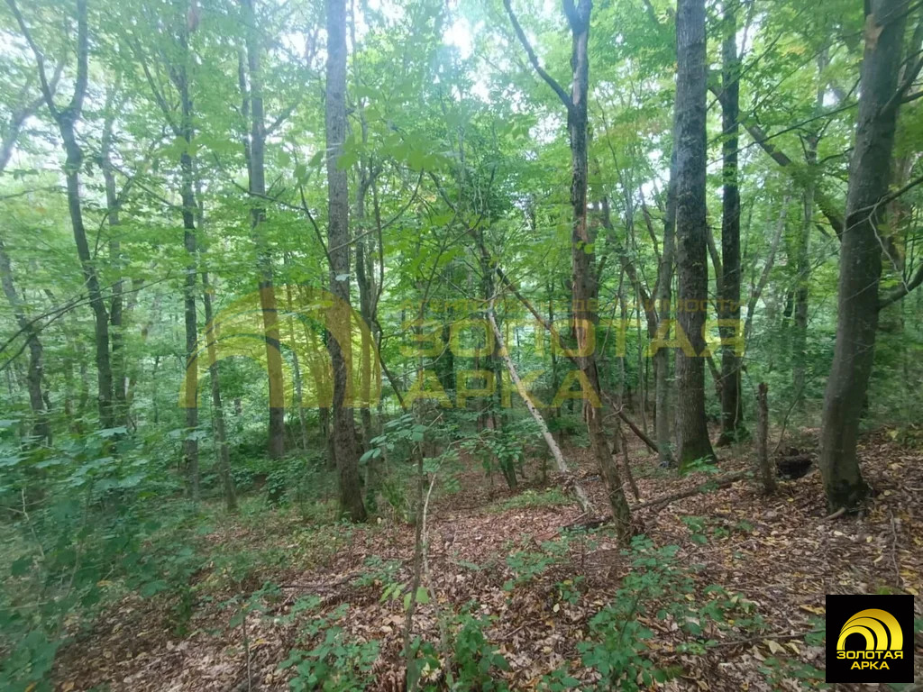 Продажа участка, Чибий, Северский район - Фото 11