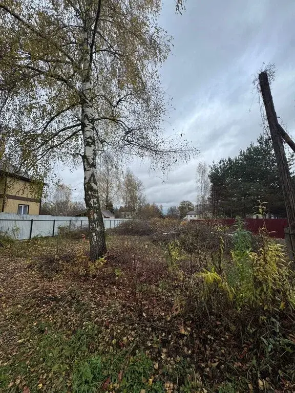Раменский р-н д. Дергаево ул. Центральная - Фото 4