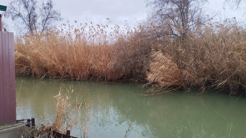 Продажа дома, Темрюк, Темрюкский район, Водный пер. - Фото 15