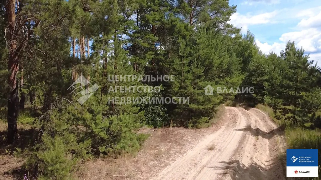 Продажа участка, Рязанский район, садоводческое товарищество ... - Фото 2