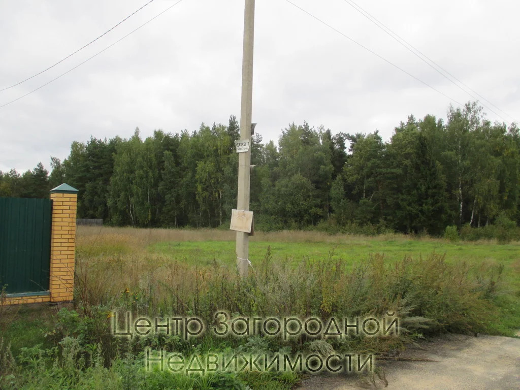 Деревня огуднево щелковский