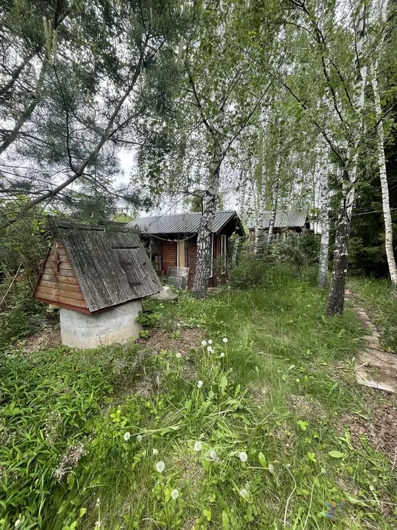 Продаю дачу 60 кв. м СНТ «Плутон», рядом с д. Волково Ступинский район - Фото 11