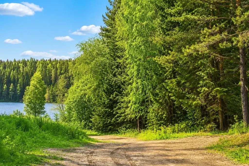 Участок на р. Куказар - Фото 7