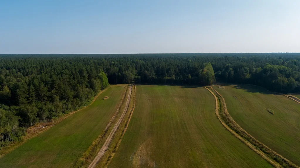 Продажа участка, Солнечное, Приозерский район - Фото 5