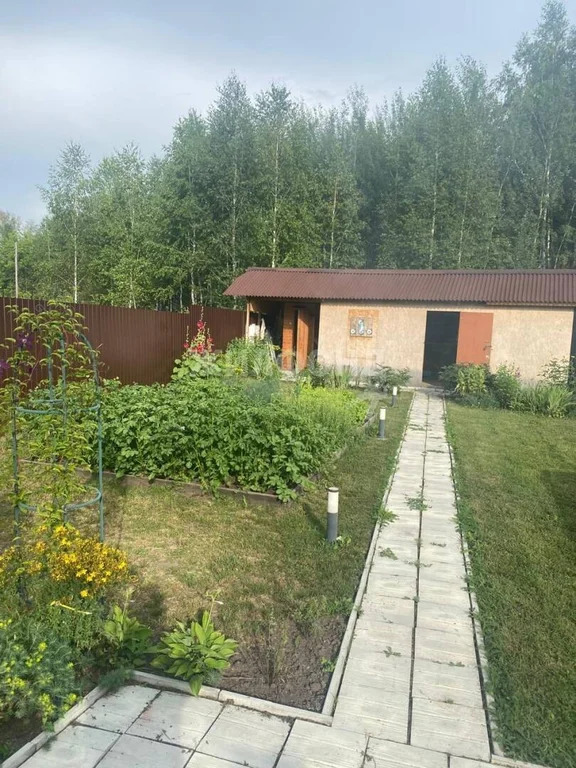 Продажа дома, Боровушка, Тогучинский район - Фото 13