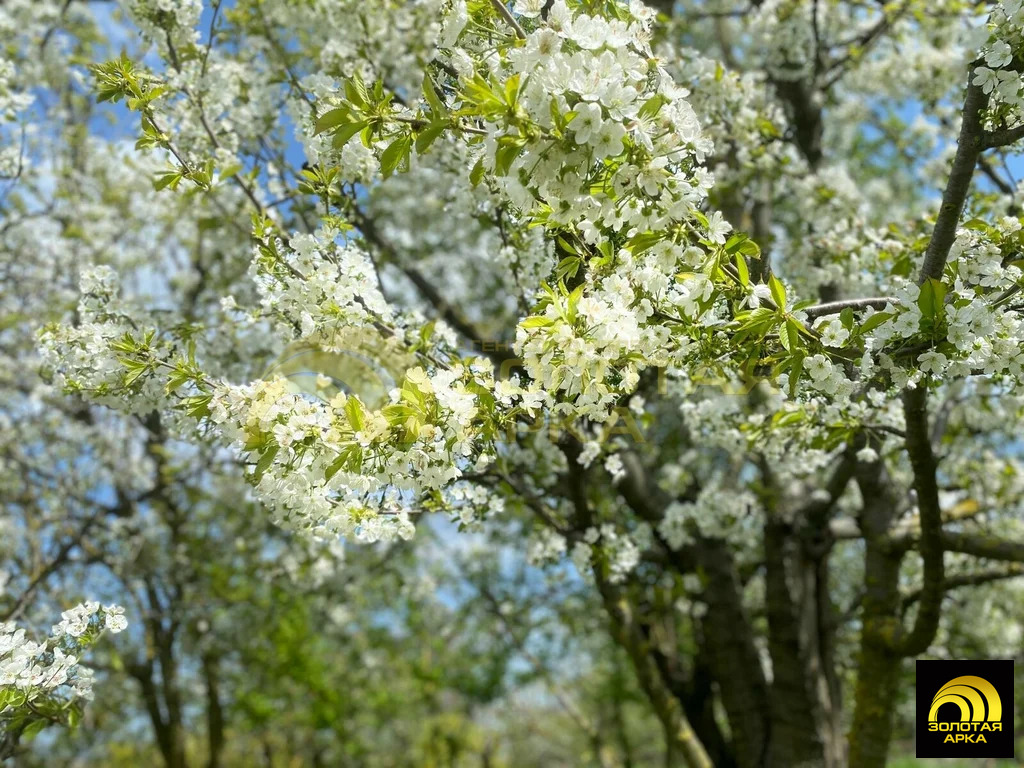 Продажа участка, Петровская, Славянский район - Фото 3