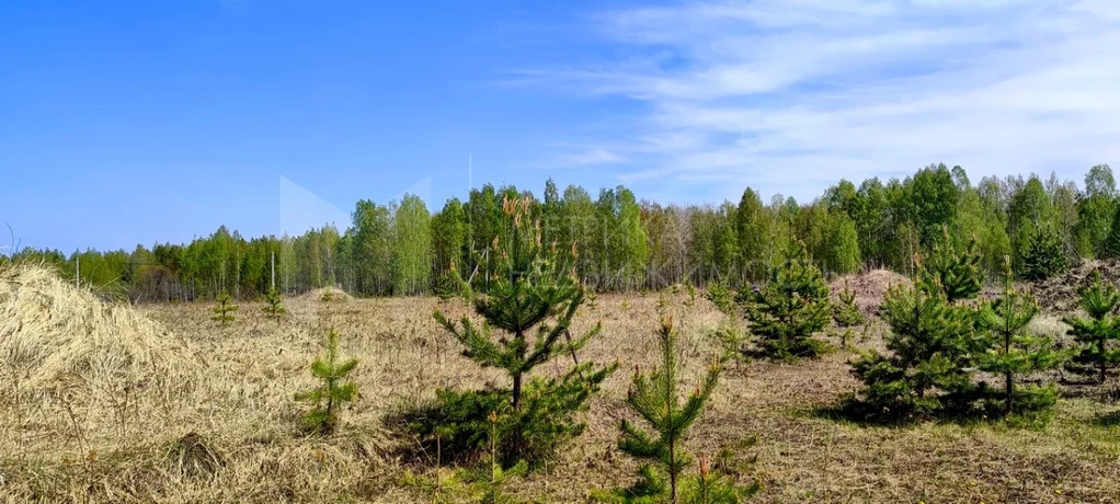 Продажа участка, Тюменский район, Тюменский р-н - Фото 2