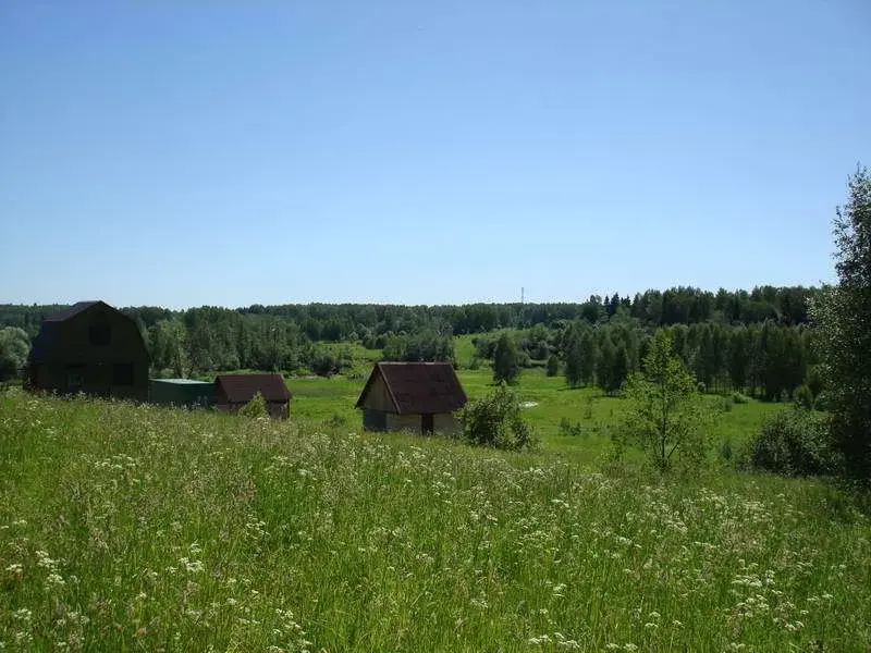 Земельный участок в деревне - Фото 2