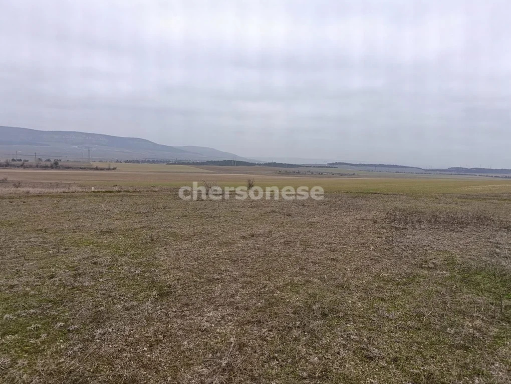 Продажа участка, Сирень, Бахчисарайский район, ул. Ялтинская - Фото 10