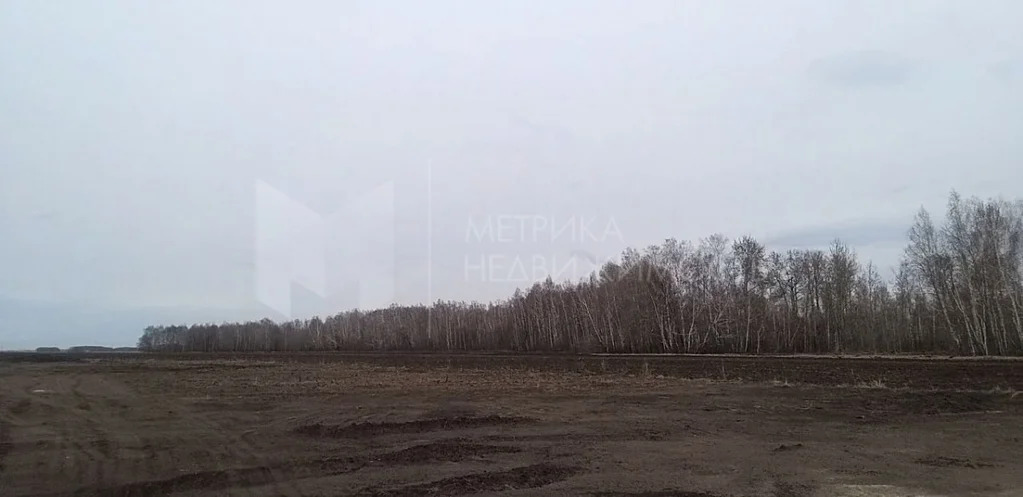 Продажа земельного участка, Тюменский район, Тюменский р-н - Фото 7