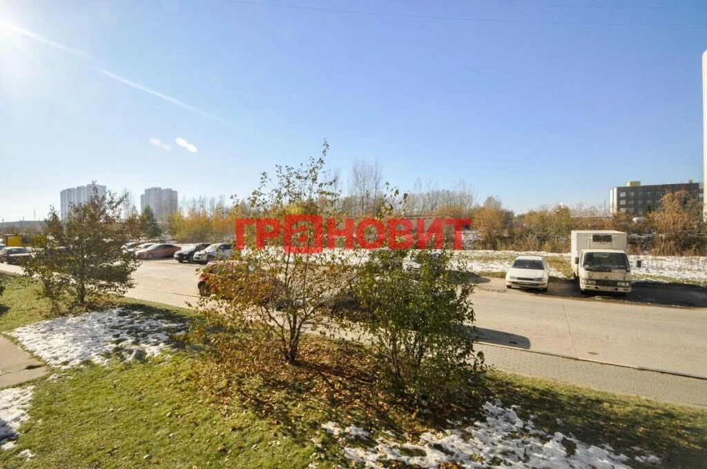 Продажа квартиры, Новосибирск, Виктора Уса - Фото 18