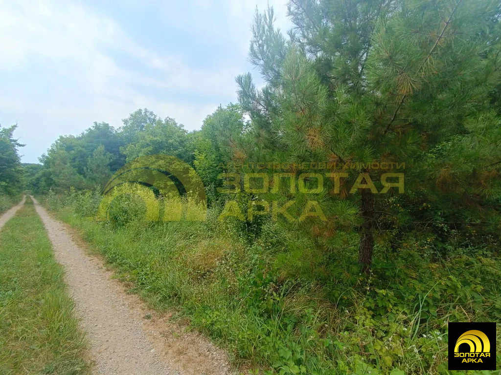 Продажа участка, Чибий, Северский район - Фото 5