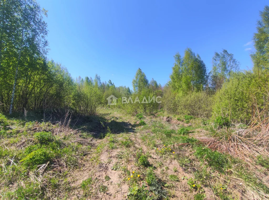 городской округ Владимир, Владимир, Октябрьский район, Вересковая ... - Фото 4