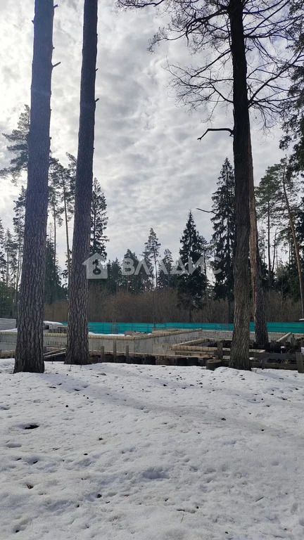 Одинцовский городской округ, ДНТ Баковка-Набережная, посёлок Баковка, ... - Фото 12