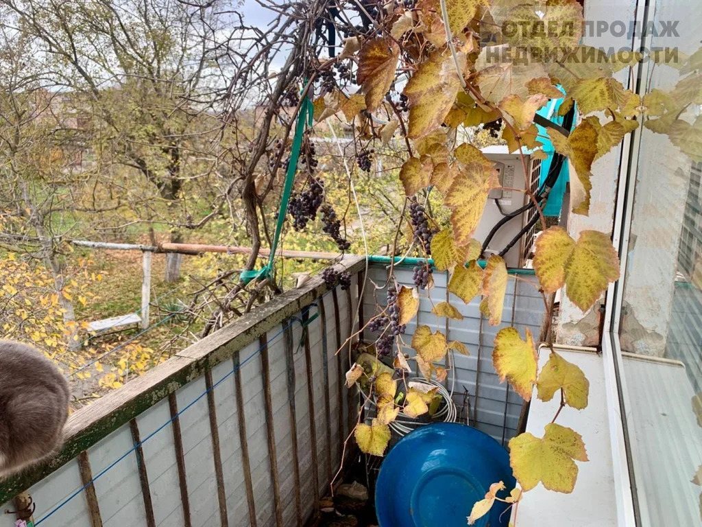 3-к квартира в Новоукраинке - Фото 15