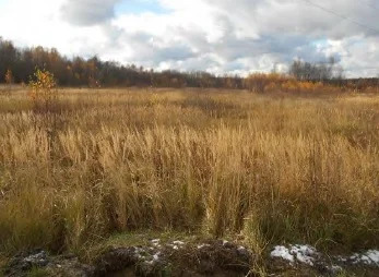 Земельный участок - Фото 3