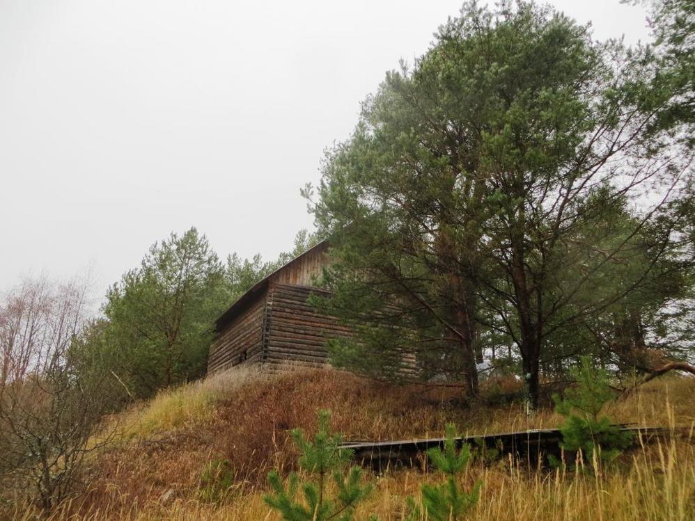 Купить Участок Юрково Сокольский Район Нижегородская Область