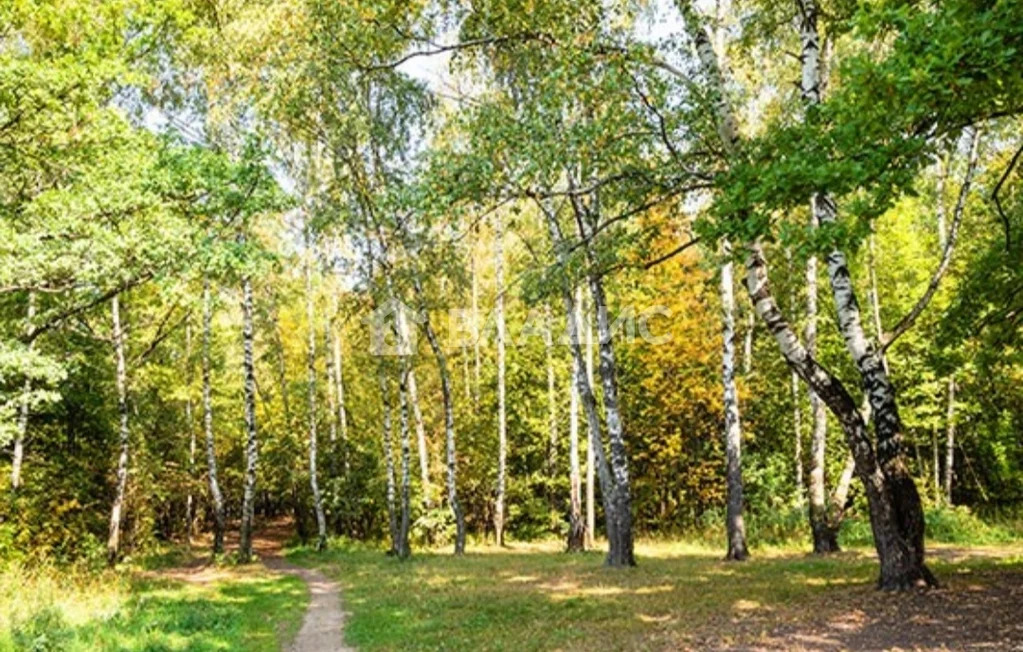 Одинцовский городской округ, Одинцово, Каштановая улица, д.10к1, ... - Фото 9