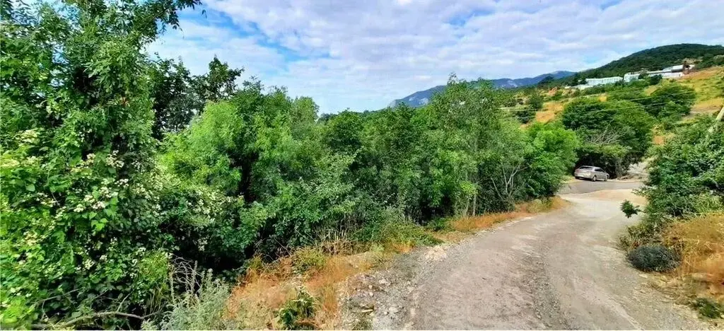 Продажа земельного участка 14 сот (ИЖС) - Фото 6