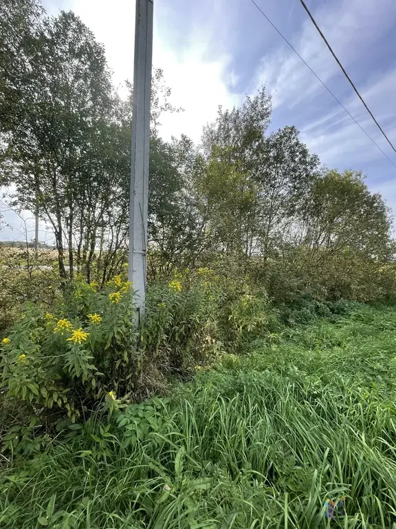 Продам участок - Фото 8