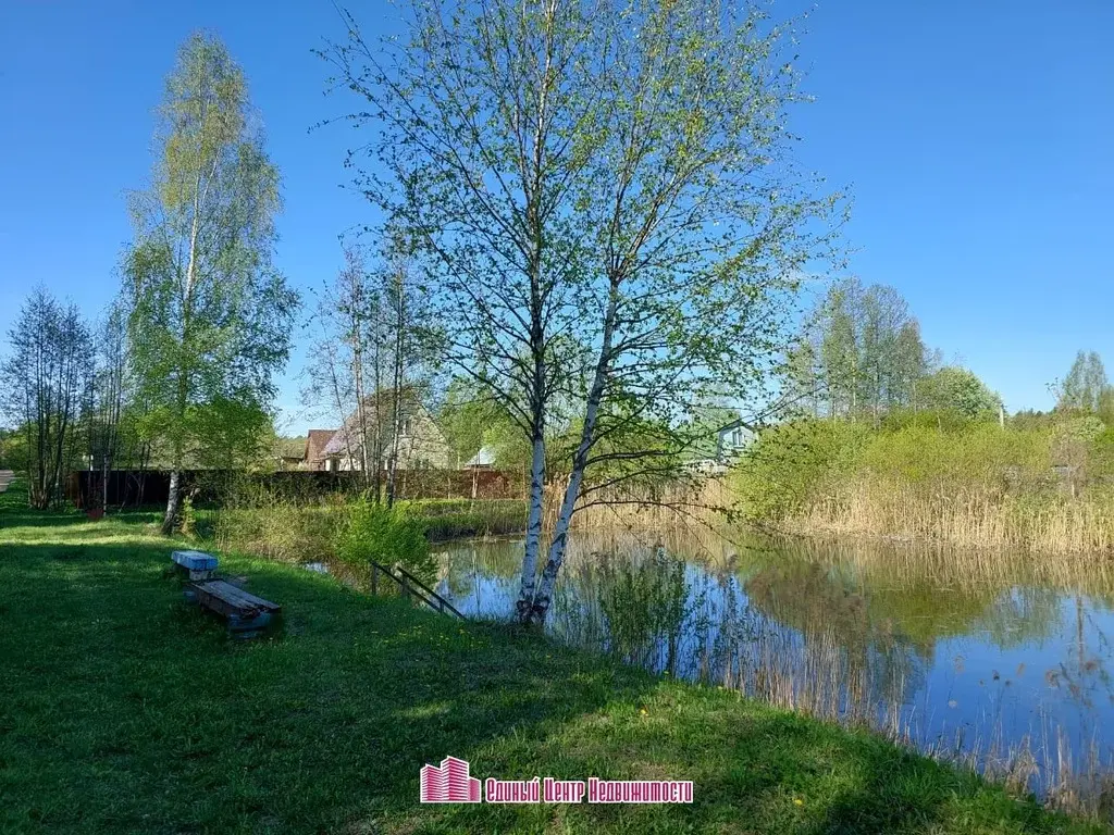 Участок 6 сот. , с/т "Рогачево". (Дмитровский район) - Фото 8