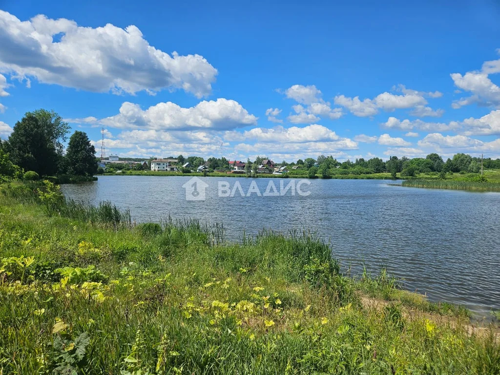 городской округ Пушкинский, село Ельдигино, микрорайон Новое ... - Фото 10