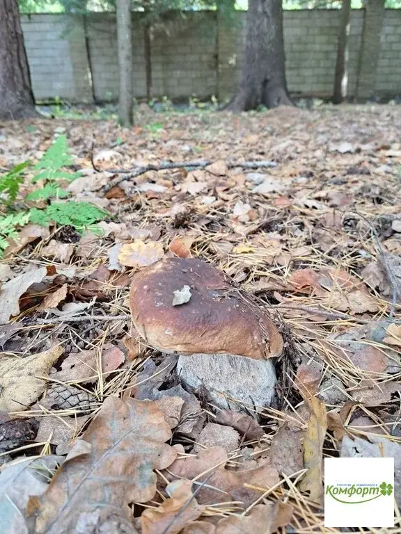 Продается коттедж в Раменском районе, Самар-1, ул. Лесная - Фото 10