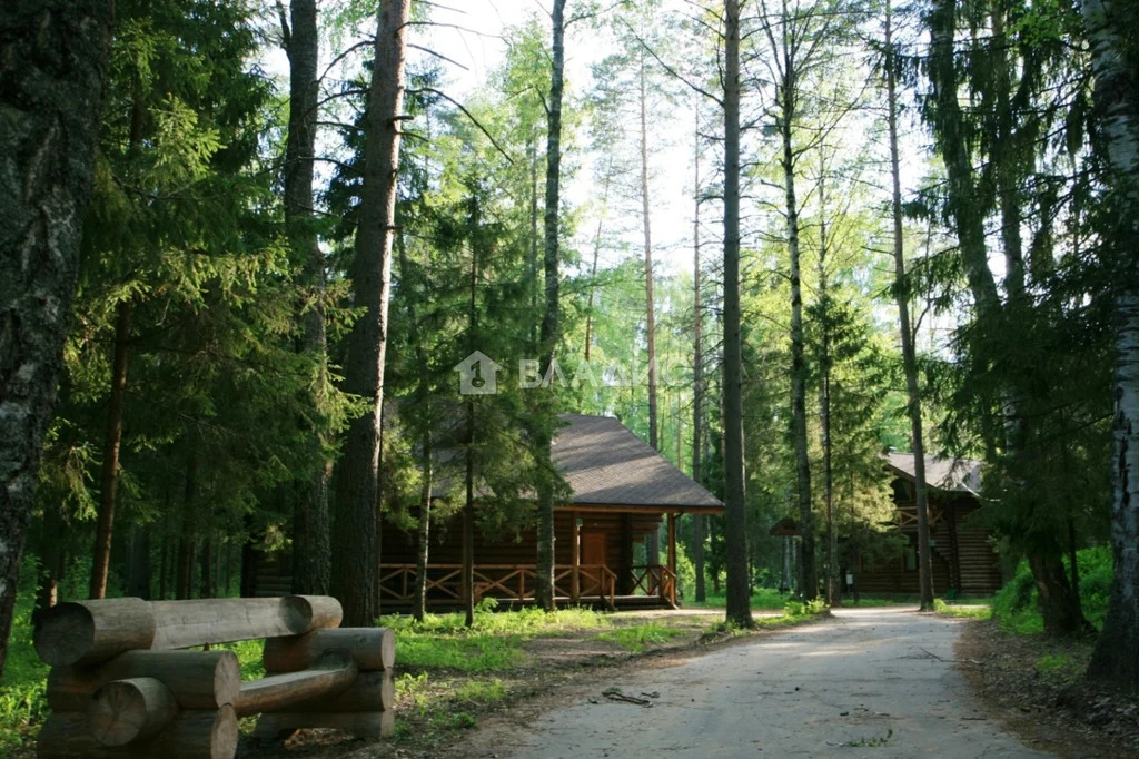 Талдомский городской округ, деревня Петрино,  земля на продажу - Фото 1