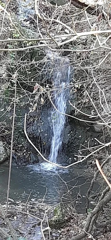 Продажа дома, Геленджик, Вербовая ул. - Фото 6