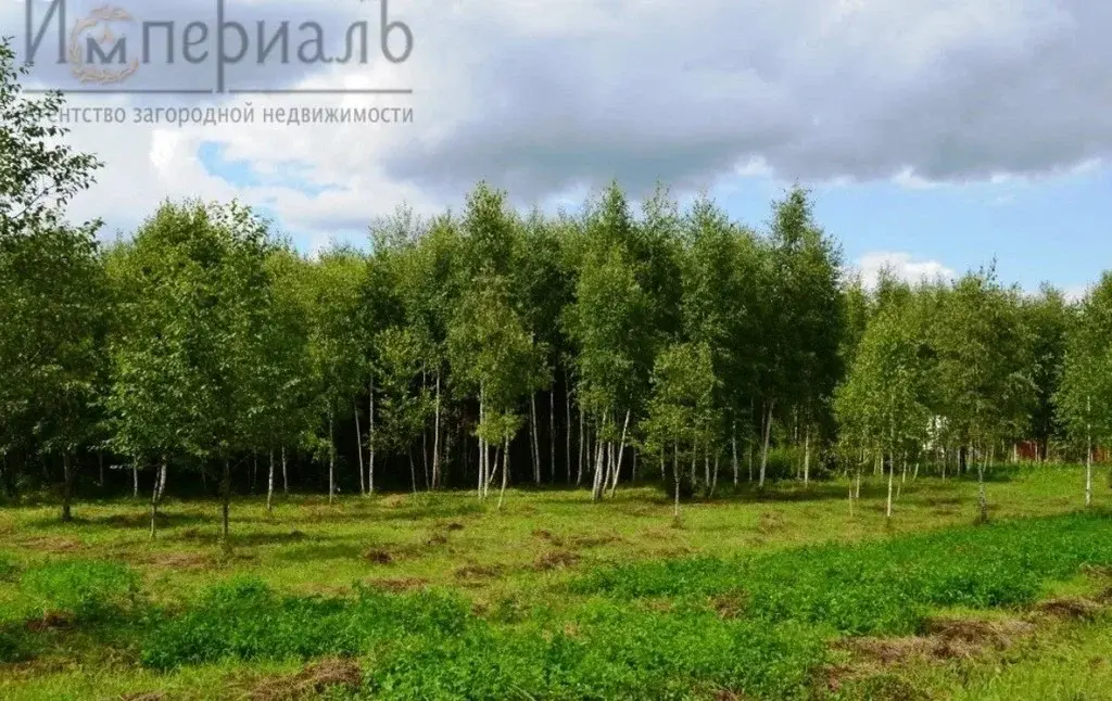 Продаётся отличный участок в окружении лесного массива в Калужской обл - Фото 2