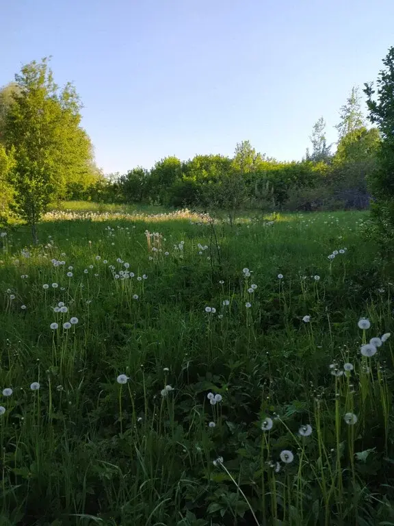 Продается дом  обл. Владимирская Юрьев-Польский р-он, д.Тартышево, от - Фото 8