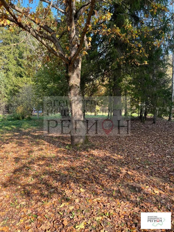 Продажа участка, Наро-Фоминский район - Фото 7