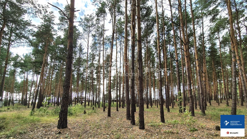 Продажа участка, Рязанский район - Фото 15