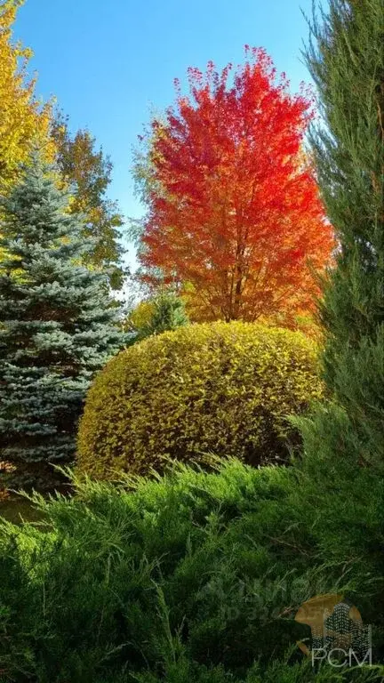 Купить дом 325.0м ул. Московская область, ЭЖК "Эдем" - Фото 4