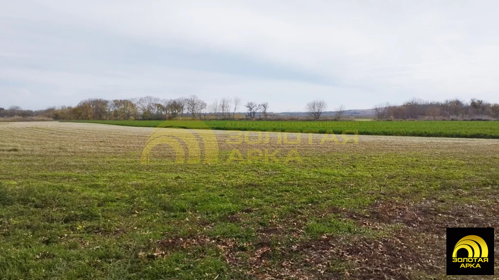 Продажа участка, Старотитаровская, Темрюкский район, Ильича пер. - Фото 4