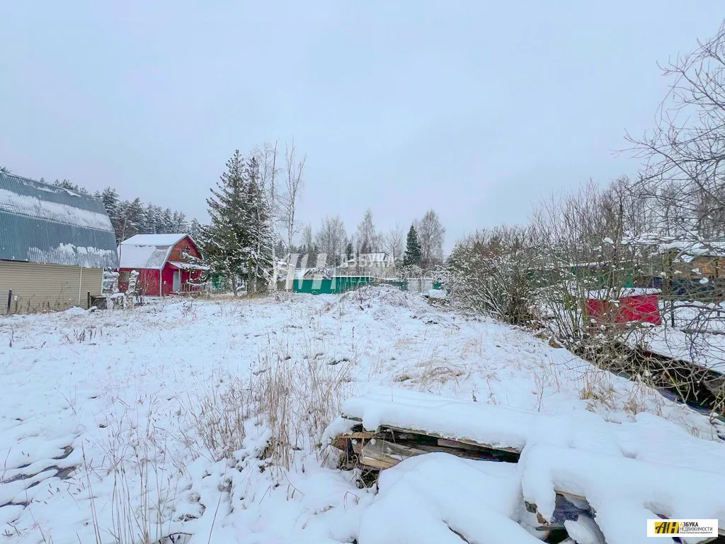 Продажа участка, Некрасовский, Дмитровский район, садовое товарищество ... - Фото 6