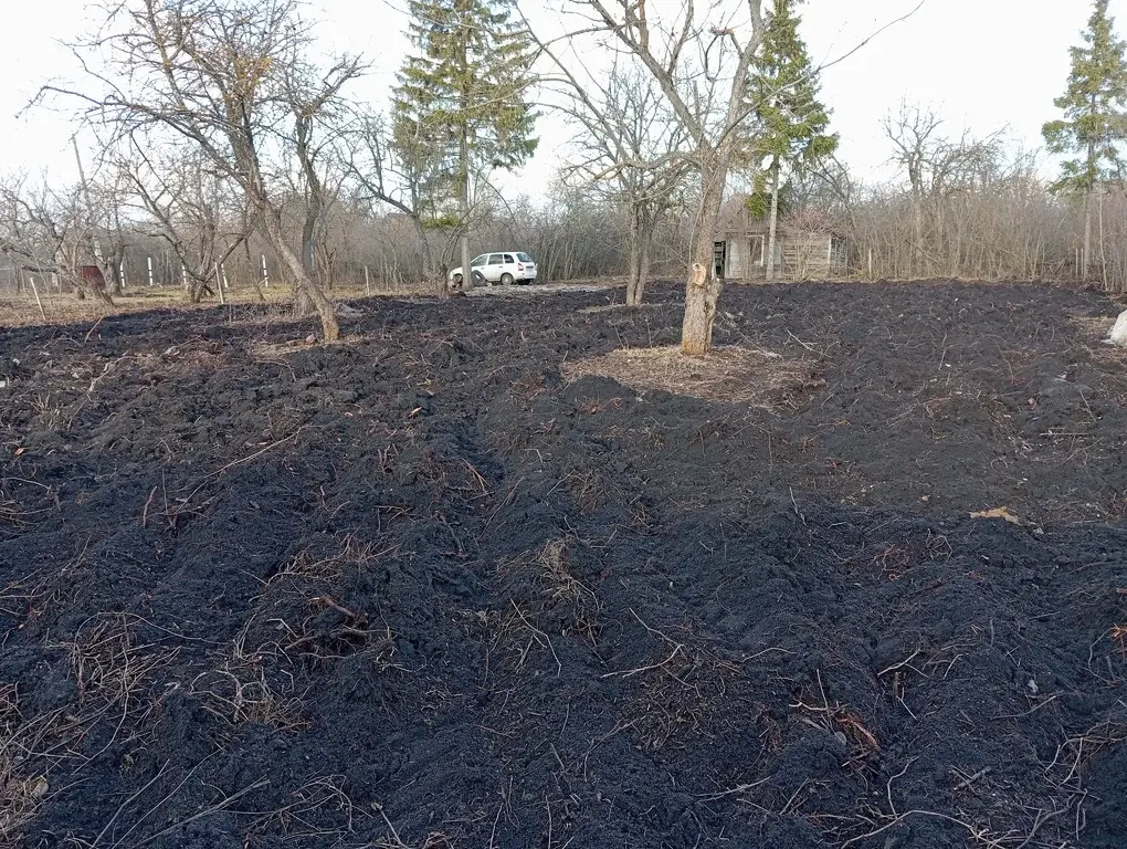 Участок 7,3 сот. (СНТ, ДНП) - Фото 8