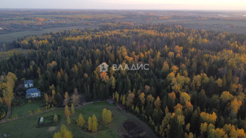 Городской округ Истра, коттеджный посёлок Лукоморье, земля на продажу - Фото 4