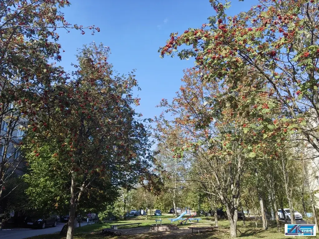 продается 3-х комнатная квартира - Фото 31