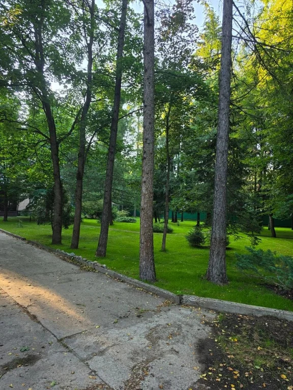 Продажа дома, Трудовая, Мытищинский район, Садовый проезд - Фото 16