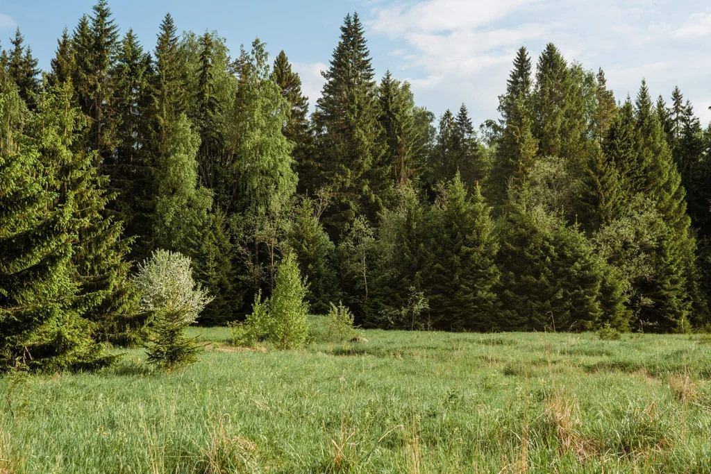 Продается земельный участок 16 сот. - Фото 5