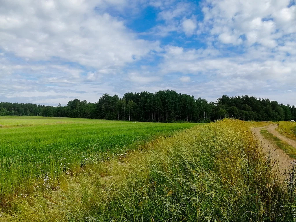 Продажа участка, Солнечное, Приозерский район - Фото 10