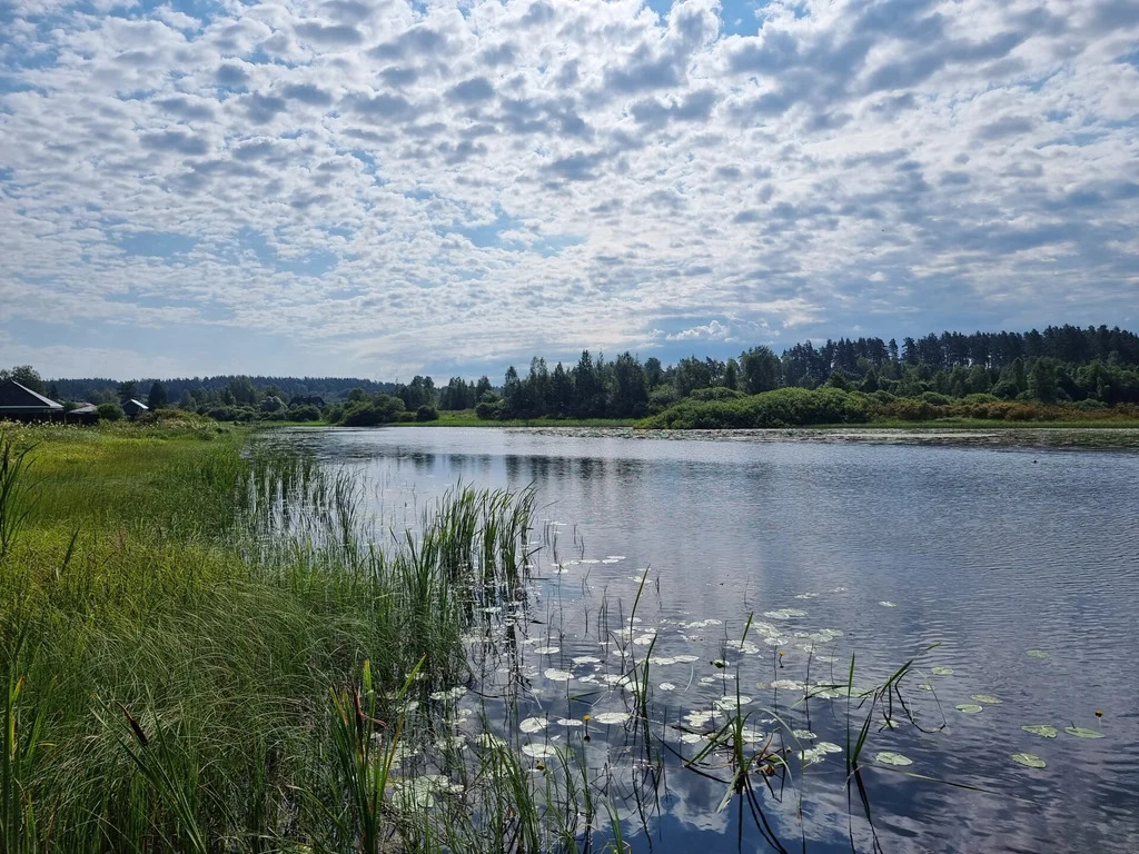 Продажа участка, Бородинское, Выборгский район - Фото 12