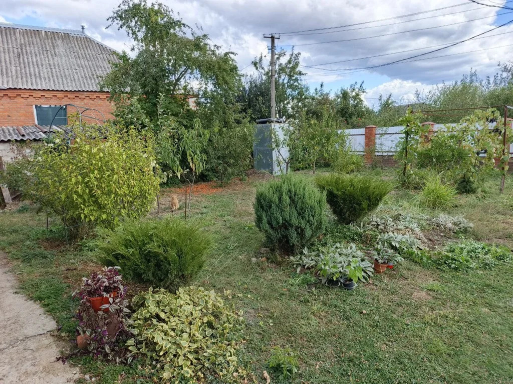 Продажа дома, Новодмитриевская, Северский район, ул. Шверника - Фото 20