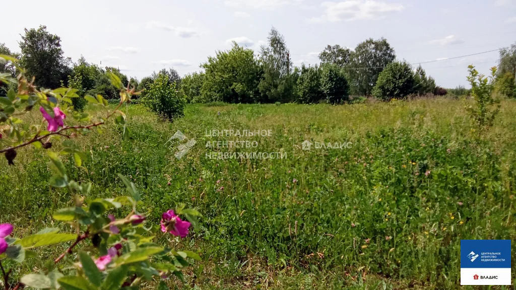 Продажа участка, Тюшево, Рязанский район, Гвардейская улица - Фото 4