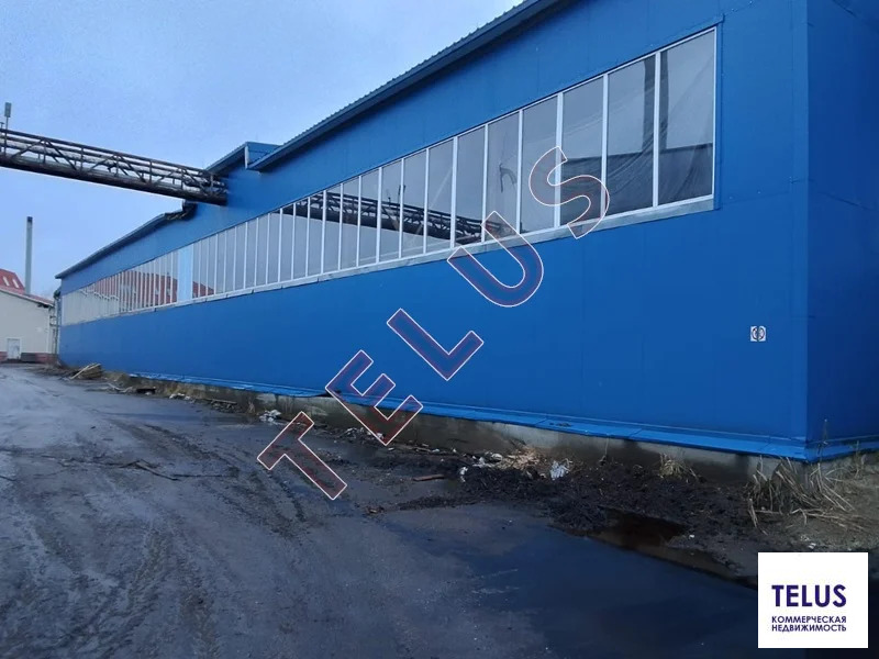 МО, Щелково го, Медвежьи Озера, 1500 м2, Склад/Производство в Аренду ... - Фото 4