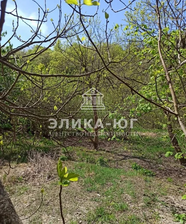 Продажа участка, Пляхо, Туапсинский район, ул. Лесная - Фото 9